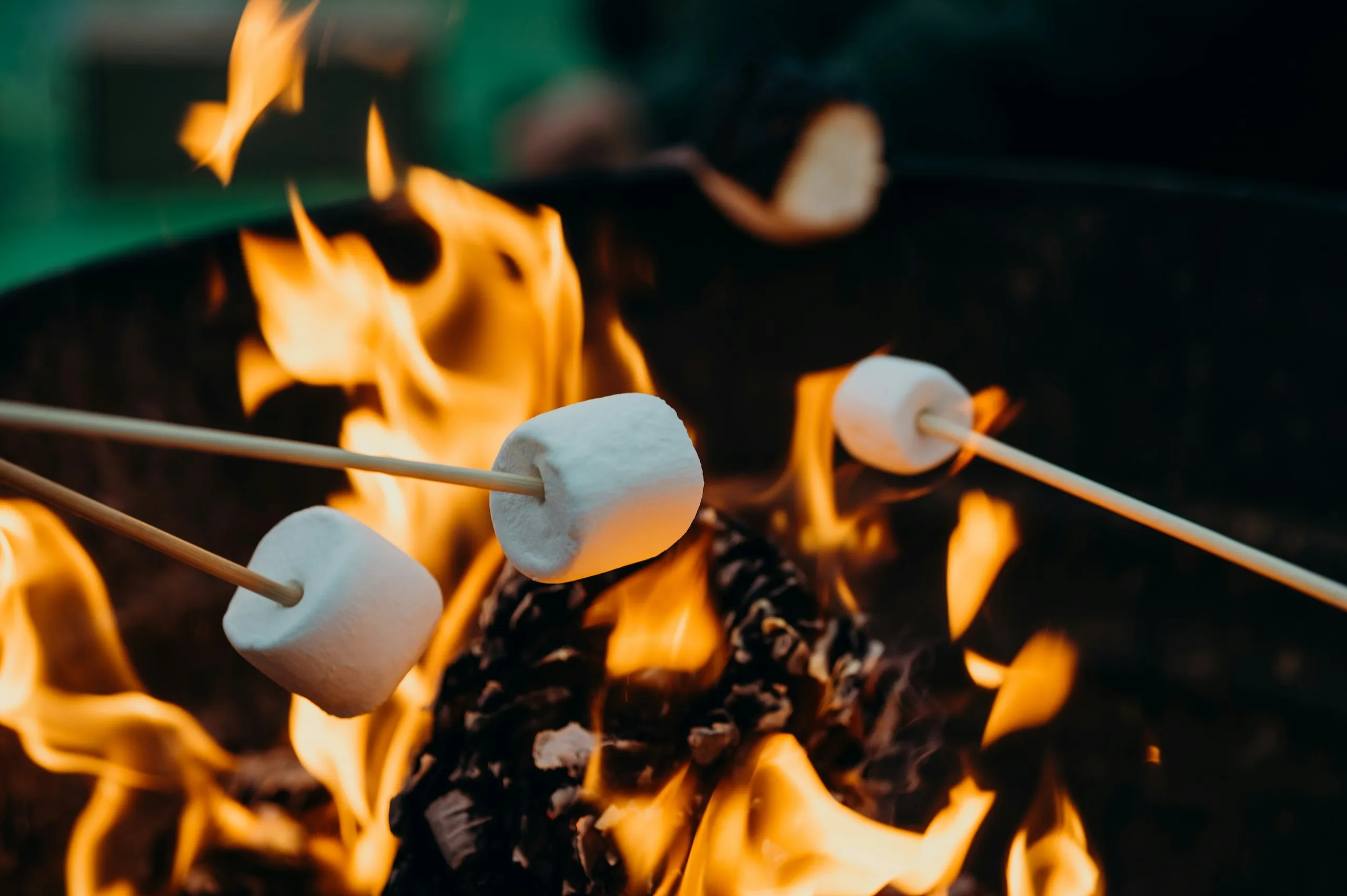Marshmallows toasting on sticks over an open campfire