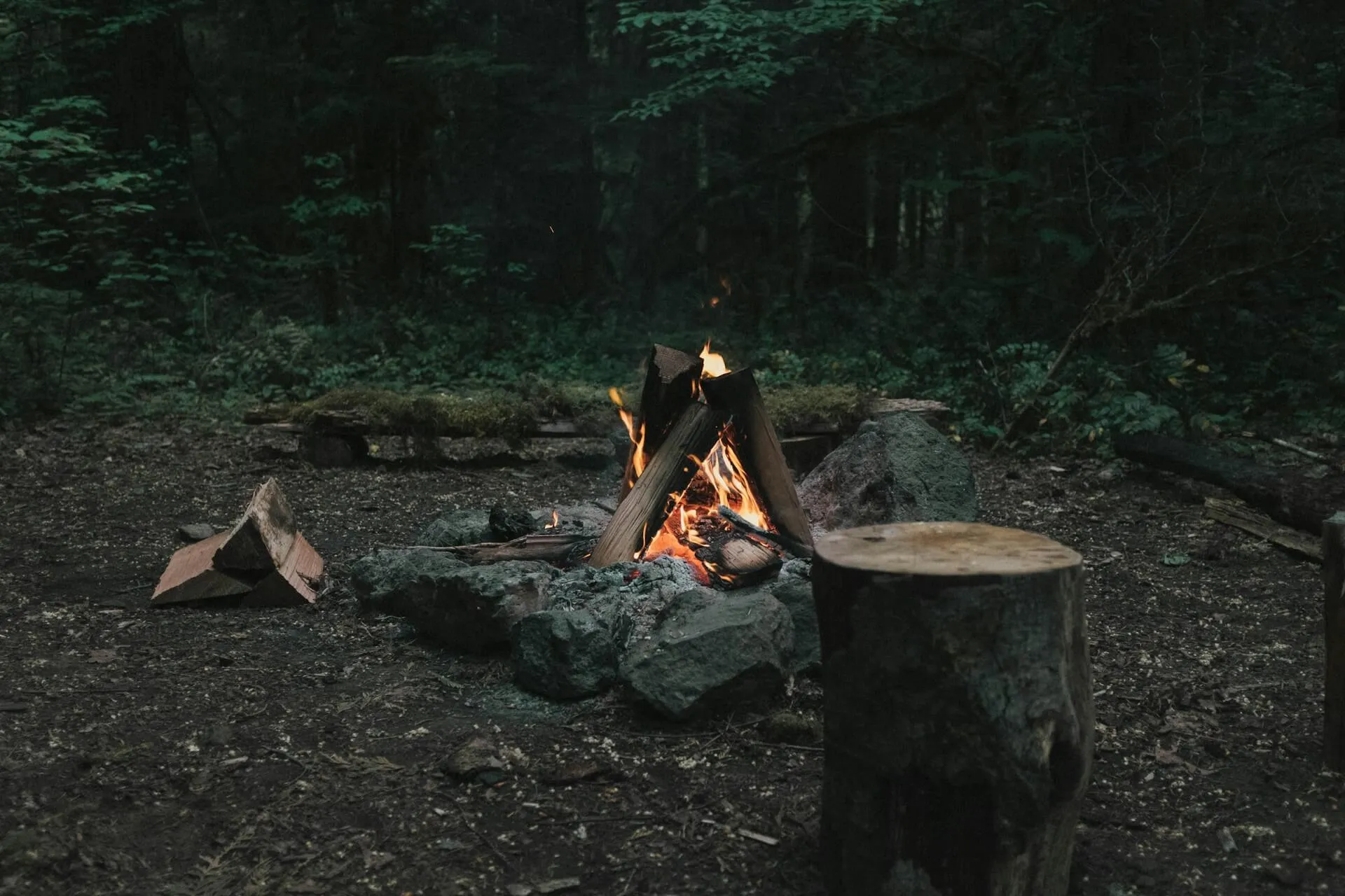 Why We're Limiting the Beta to 10 Campgrounds (And What You Get for Being Early)
