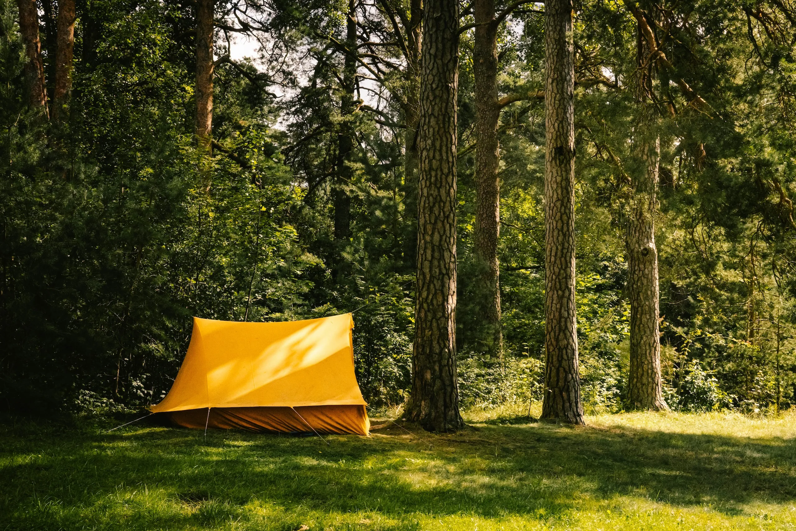 How to Recover Lost Revenue With a Campground Waitlist